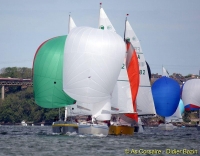 aIMG_8342.jpg